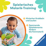 Play+ Motorik-Musik-Spiel-Würfel: Wilde Tiere - ab 6 Monate