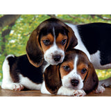 Puzzle Hunde 500 teilig