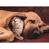 Puzzle Hund & Katze 500 teilig