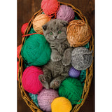 Puzzle Katze 500 Teile