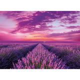 Puzzle Lavendel 1000 teilig