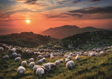Sheep and Volcanoes Standard 1000 Teile