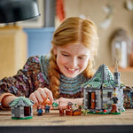 76428 Hagrids Hütte: Ein unerwarteter Besuch, Lego Harry Potter, 896 Teile, ab 8 Jahren