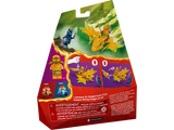 Lego Ninjago 71803 Arins Drachengleiter