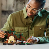 Lego Star Wars 75330 Jedi™ Training auf Dagobah™ – Diorama