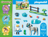 PLAYMOBIL 70522 Sammelpony "Classic"
